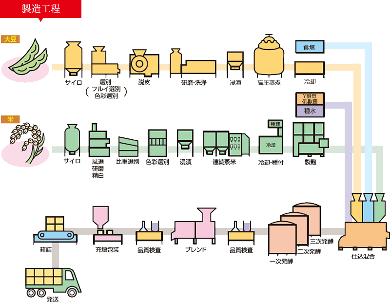 味噌の製造工程