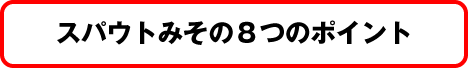 スパウトみその8つのポイント