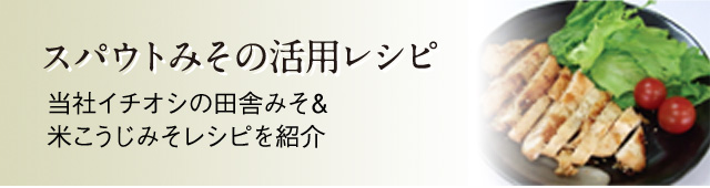 すぐとけみその活用レシピ